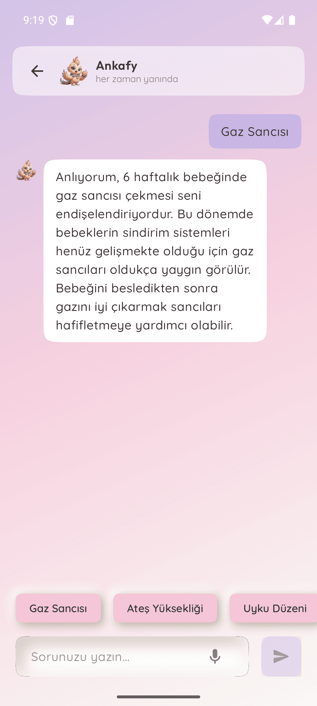 Sohbet Asistanı · Şefkatli Rehber